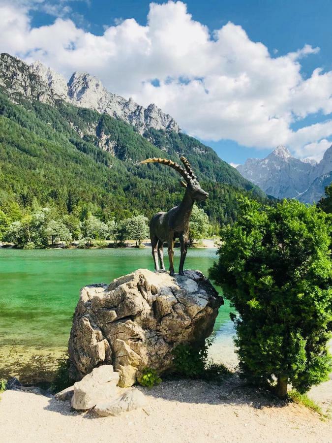 Apartment Story Kranjska Gora Εξωτερικό φωτογραφία